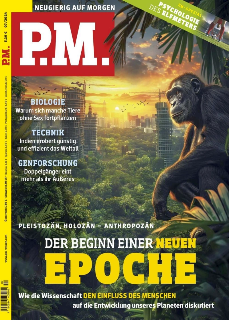 P.M. Magazin Abonnement